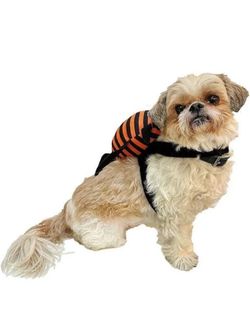 Woof Pet Halloween Costume SPIDER RIDER