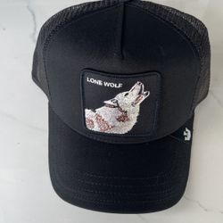 Goorin Bros Snapback Hat 🧢