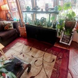 Complete Fish Tank With Two Pumps, Everything Works As Intended 