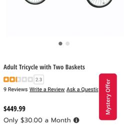 Adult Tricycle 