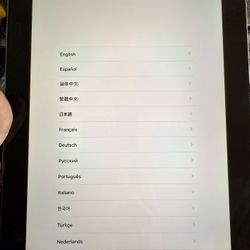 Apple iPad Works Great!