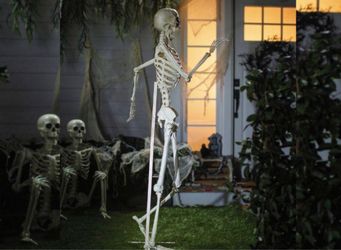 Crazy Bonez Metal Skeleton Display Stand ā $15 OBO