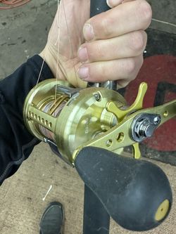Team Daiwa Luna300