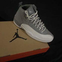 Jordan 12 Stealth