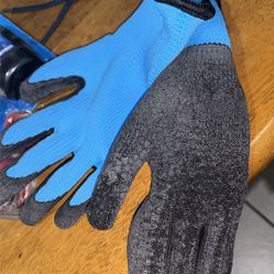 Gloves