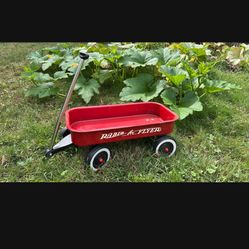 Radio Flyer Mini Wagon 