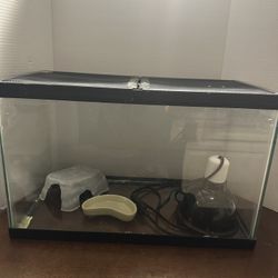 Small Lizard Tank