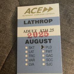Ace Train Ticket