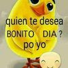 Coral gonza