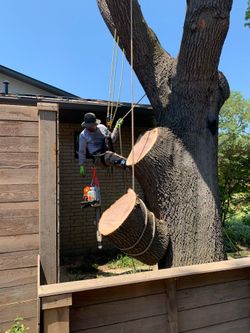 Stump Removal Grinding Remover 