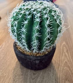 9” Artificial Cactus 