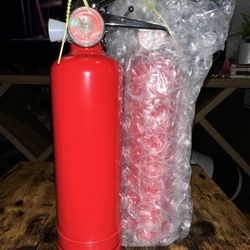 Gender Reveal Fire Extinguisher 
