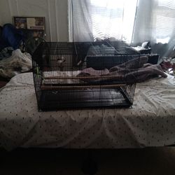  Bird Cage For Sale