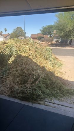 Wood chips