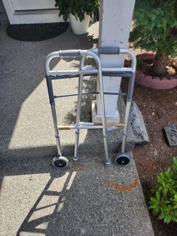 Guardian Walker