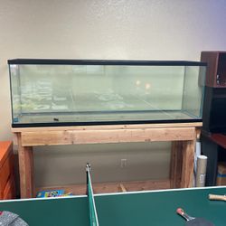 HUGE fish Tank 