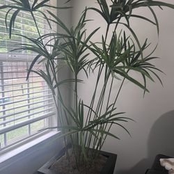 artificial plant