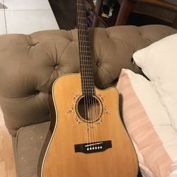 Takamine EG530SC Special Edition