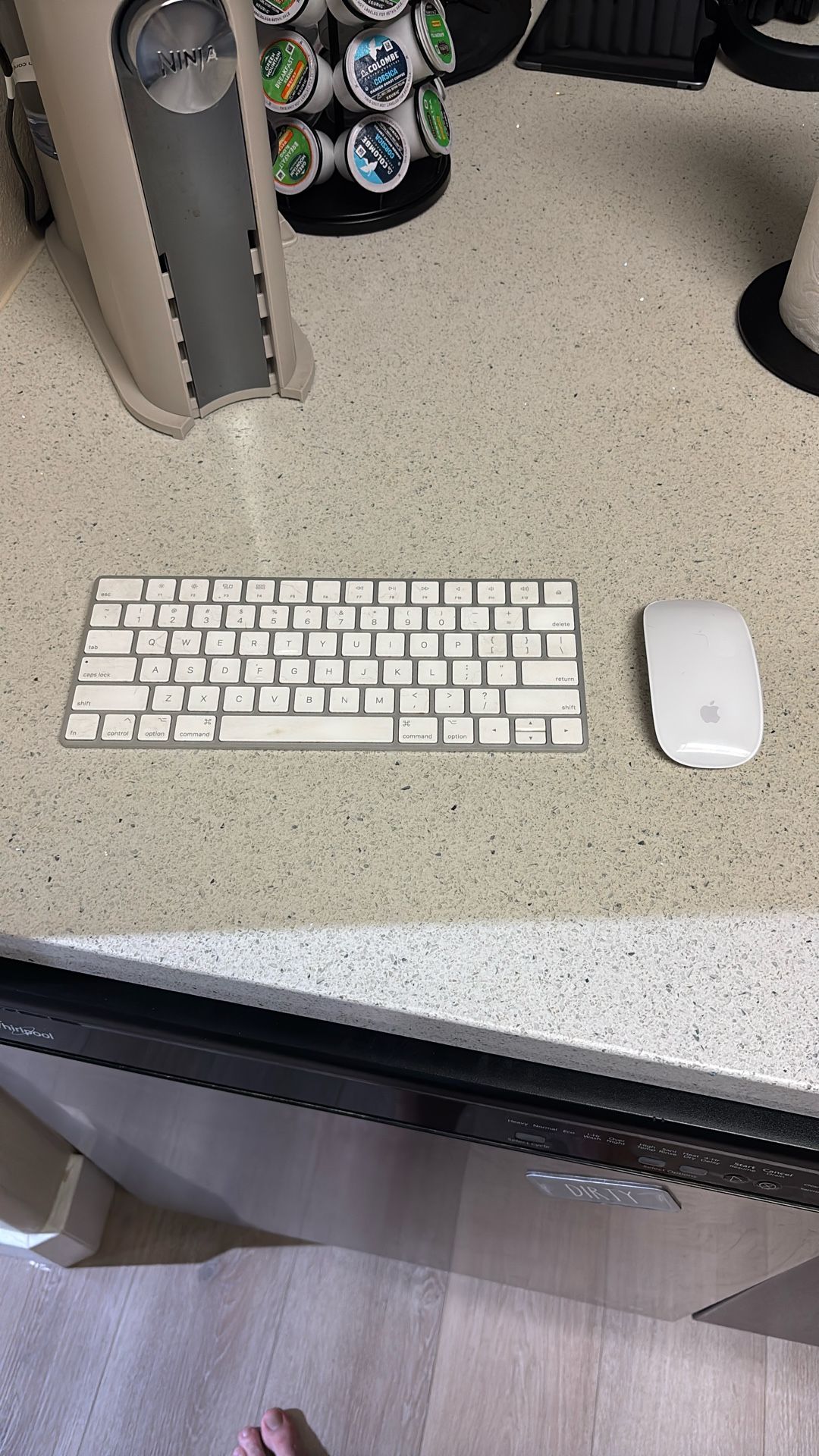 Apple Magic Mouse + Wireless Keyboard 