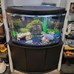 40 Gallon Bow Front Fish Tank With Stand