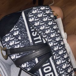 Dior Saddle Bag