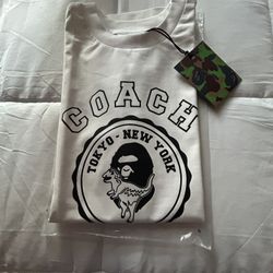 Bapexcoach White And Black S