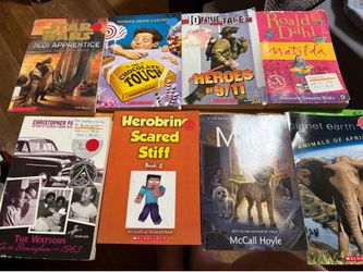 Chapter Books