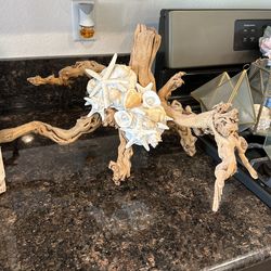 Seashell Starfish Pearl Decorative Branch