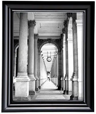 MCS 16x20 Inch Swan Solid Wood Frame, Black (65532)