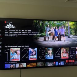 Samsung 60in Tv