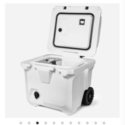 35qt Brumate Cooler 