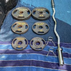 GOLDS GYM  80 LBS.  OLYMPIC PLATES  +  NEW  OLYMPIC  EZ  CURL  BAR   (PAIRS OF)  :  25s  10s  5s 