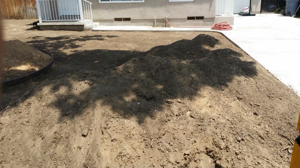 Free dirt tiera gratis