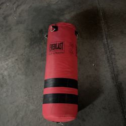 Punching Bag Everlast 