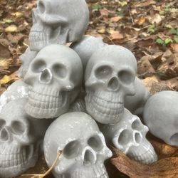 CEMENT/ CONCRETE SKULLS (located In Union,WA)