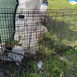 Dog/cat Cages