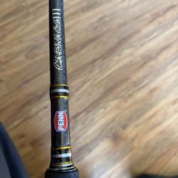 Brand New Penn Carnage 3  9ft  Rod Conventional 1pc 