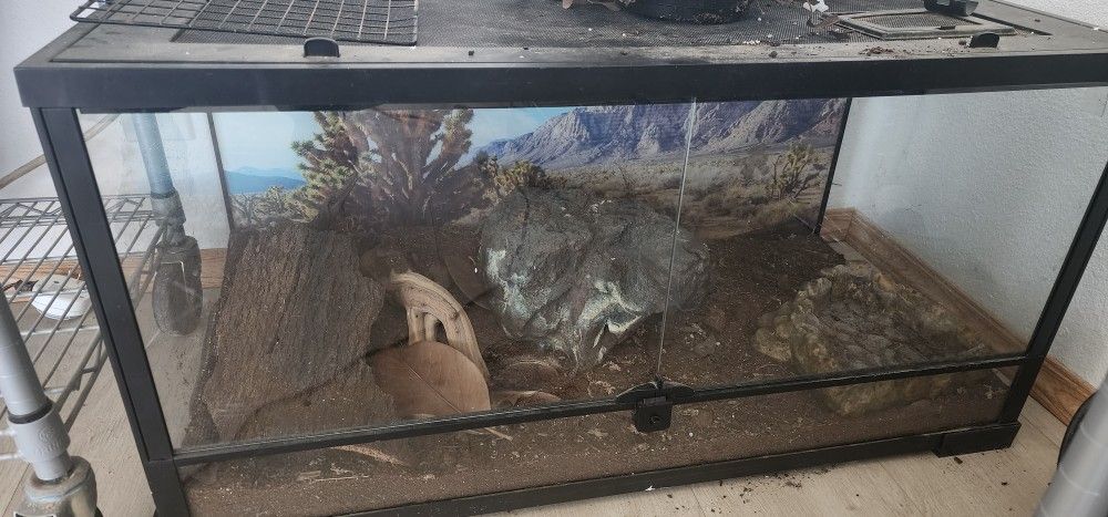 Reptile Enclosures (NO ANIMALS INCLUDED)