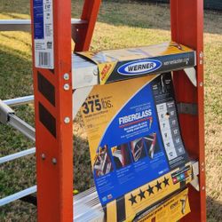  6 Ft Werner Ladder 