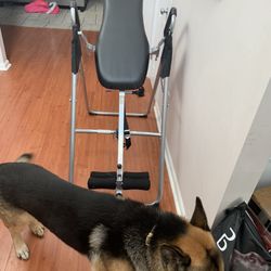 Inversion Table 