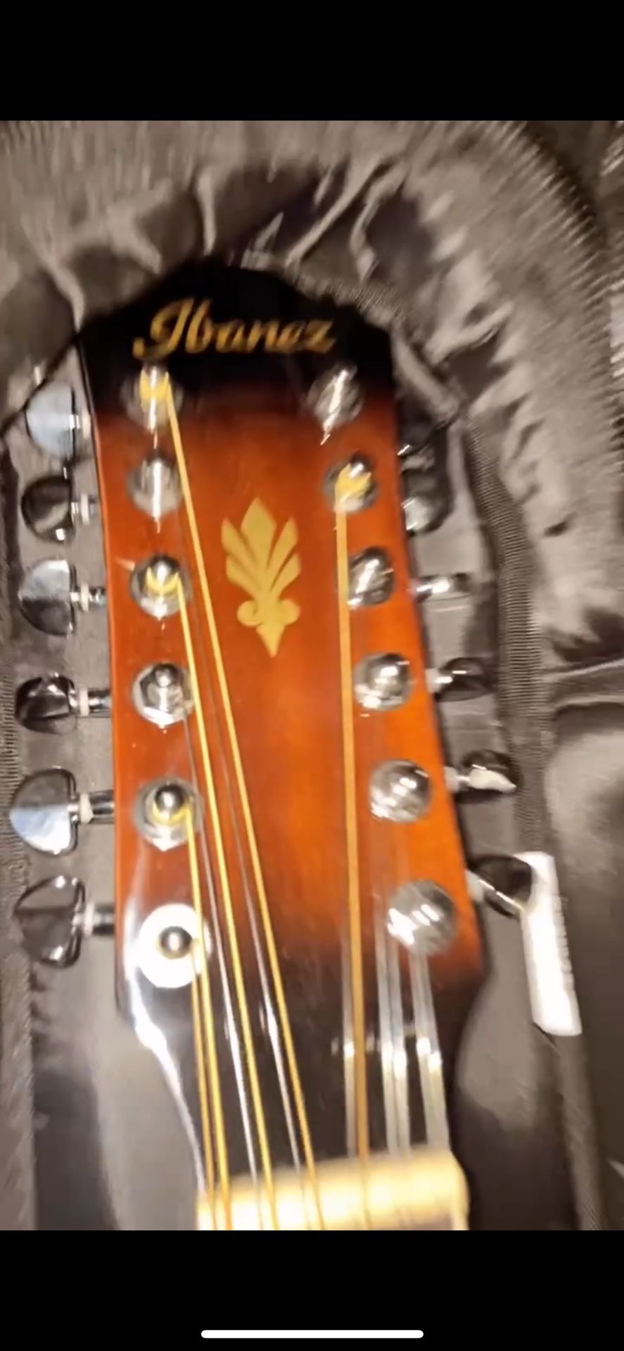 ibanez guitar 12 string acoustic electric
