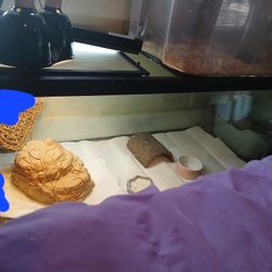 75 Gallon Reptile Tank 