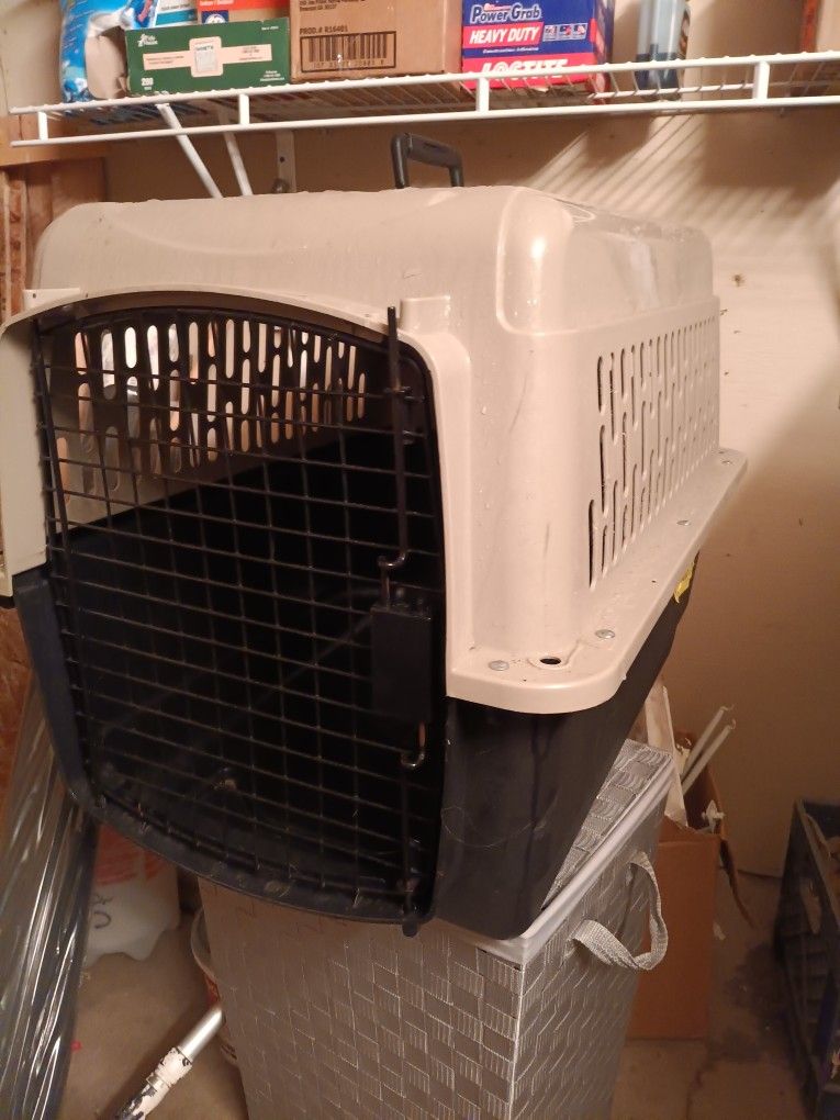 Dogs Cage