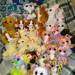 👑 TY BEANIE BOOS👑⭐⭐