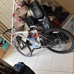 Bicicleta 🚲