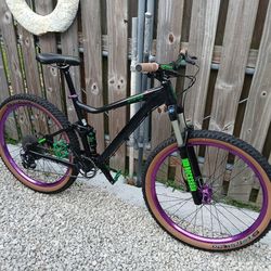 Custom Giant Stance Mountain Bike