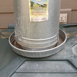 Very nice chicken feeder. Turkey chicken poultry bird