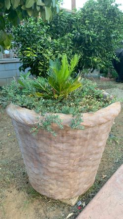 Patio Planter