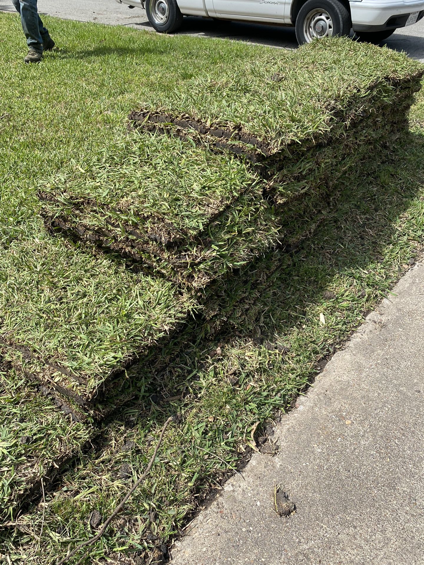 St. Augustine Sod/Grass
