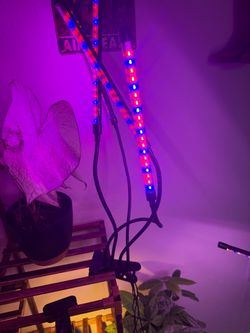 Grow Lamps
